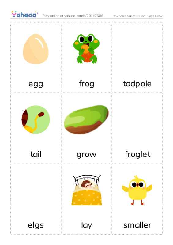 RAZ Vocabulary C: How Frogs Grow PDF flaschards with images