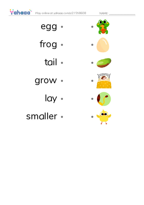 RAZ Vocabulary C: How Frogs Grow PDF link match words worksheet