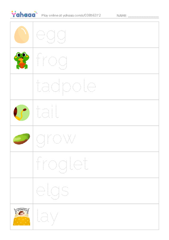 RAZ Vocabulary C: How Frogs Grow PDF one column image words