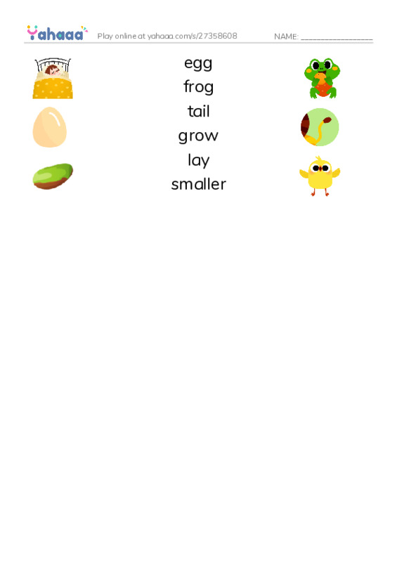 RAZ Vocabulary C: How Frogs Grow PDF three columns match words