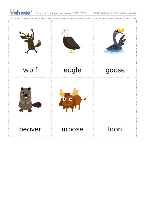 RAZ Vocabulary C: The Animals of Canada PDF flaschards with images