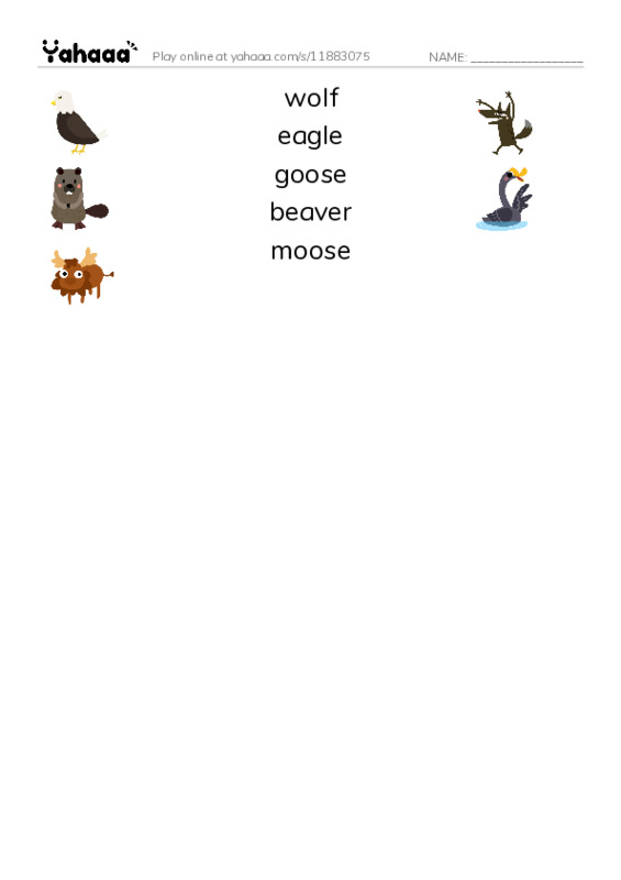 RAZ Vocabulary C: The Animals of Canada PDF three columns match words