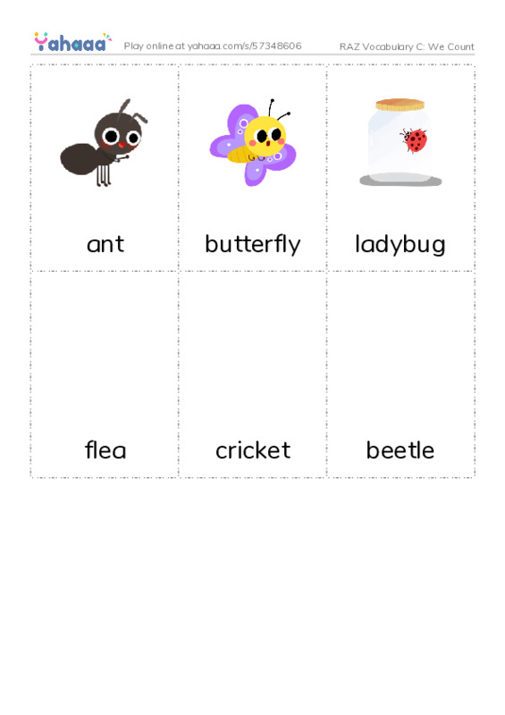 RAZ Vocabulary C: We Count PDF flaschards with images