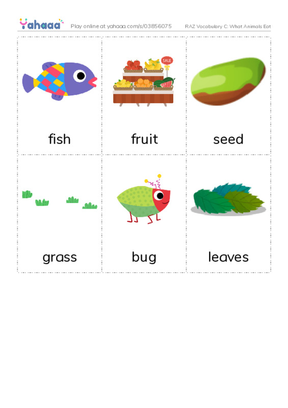 RAZ Vocabulary C: What Animals Eat PDF flaschards with images