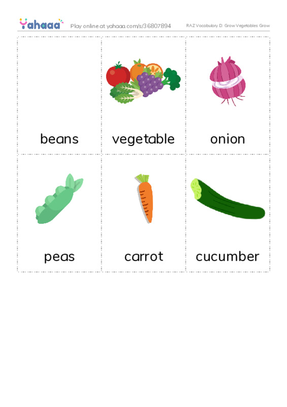 RAZ Vocabulary D: Grow Vegetables  PDF flaschards with images