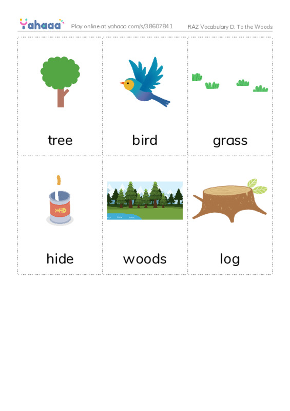 RAZ Vocabulary D: To the Woods PDF flaschards with images