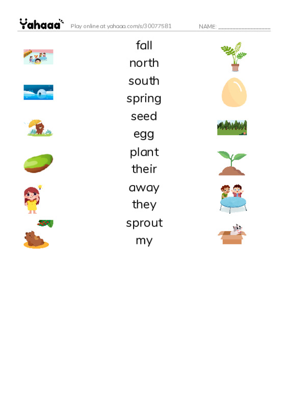 RAZ Vocabulary D: Welcome Back Butterflies PDF three columns match words