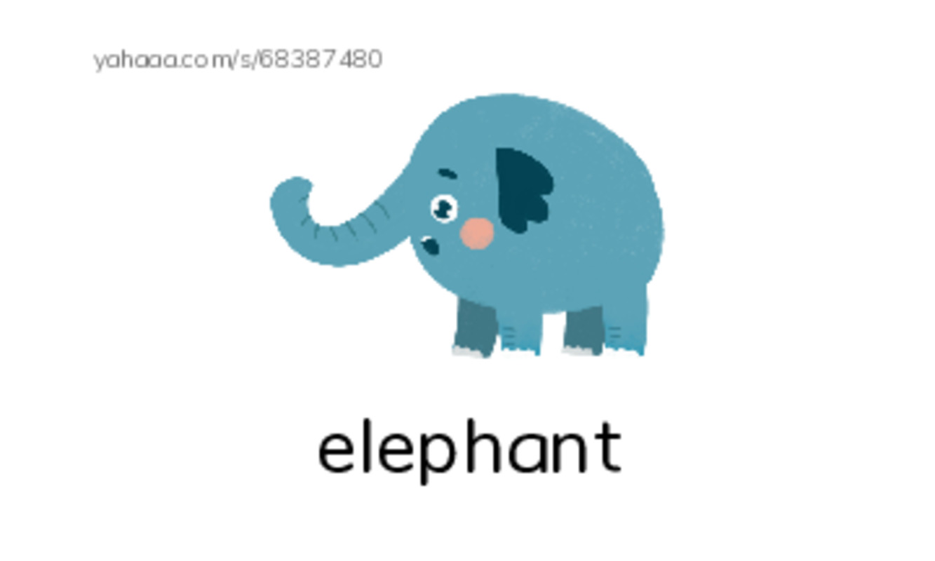 RAZ Vocabulary E: Animals Animals PDF index cards with images