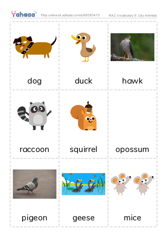 RAZ Vocabulary E: City Animals PDF flaschards with images