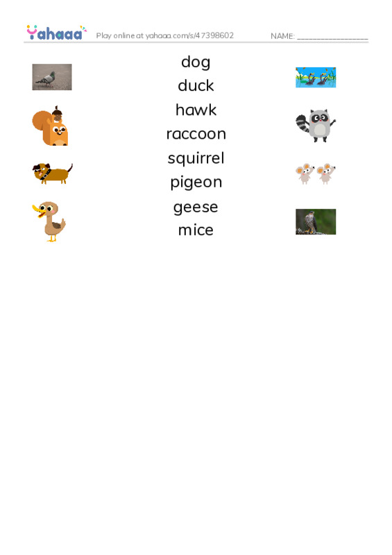 RAZ Vocabulary E: City Animals PDF three columns match words