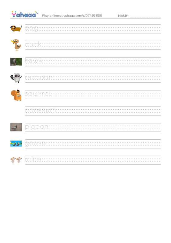 RAZ Vocabulary E: City Animals PDF write between the lines worksheet