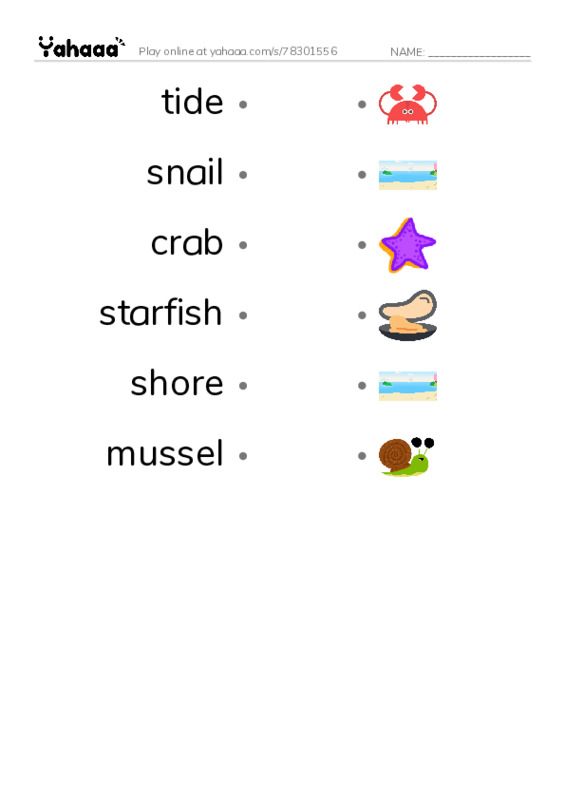 RAZ Vocabulary E: Shapes in Tide Pools PDF link match words worksheet
