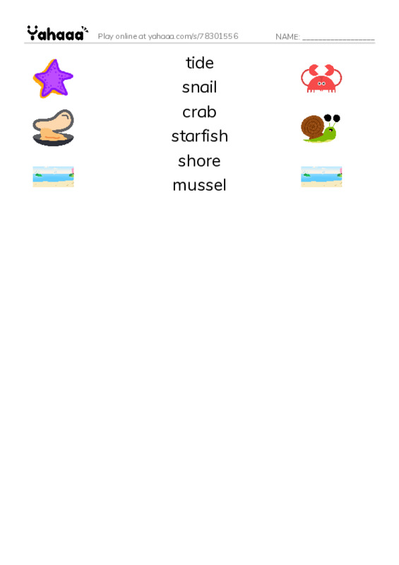 RAZ Vocabulary E: Shapes in Tide Pools PDF three columns match words