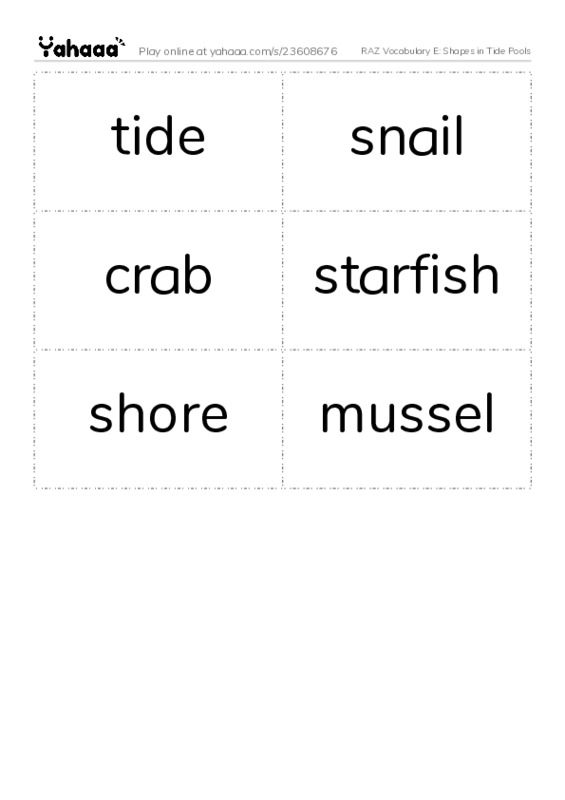 RAZ Vocabulary E: Shapes in Tide Pools PDF two columns flashcards