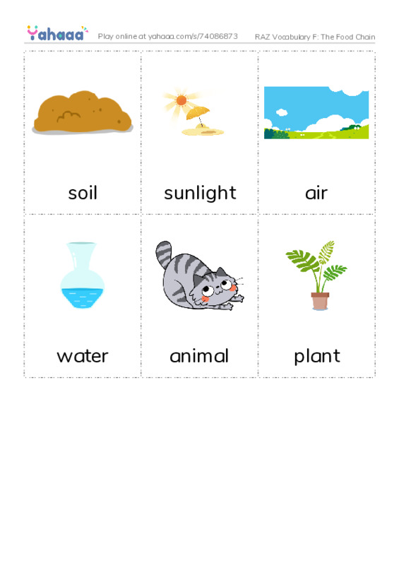 RAZ Vocabulary F: The Food Chain PDF flaschards with images