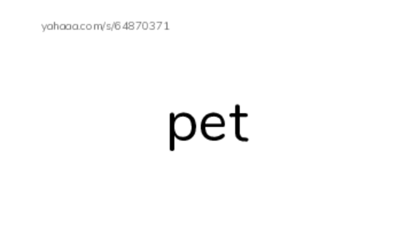 RAZ Vocabulary F: White House Pets1 PDF index cards word only
