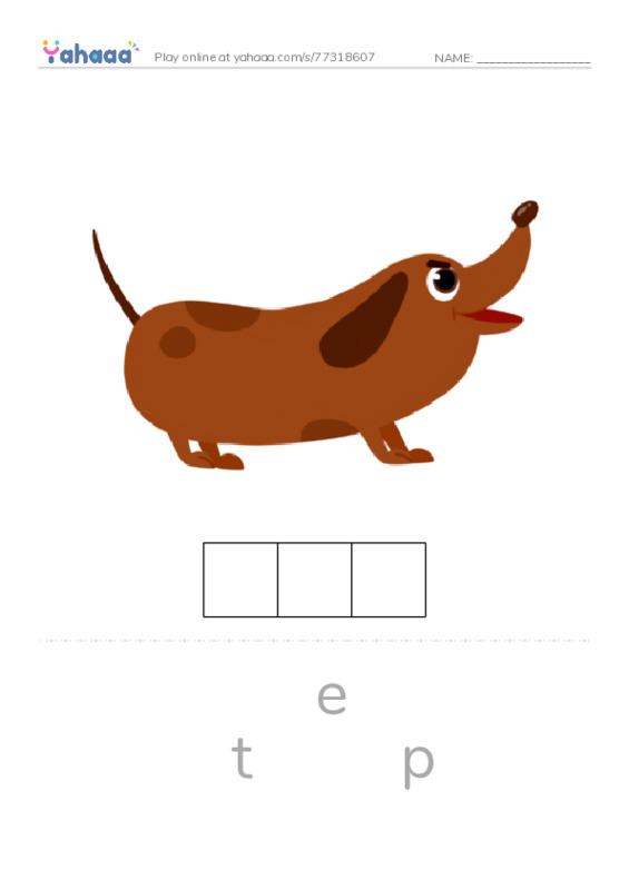 RAZ Vocabulary F: White House Pets1 PDF word puzzles worksheet