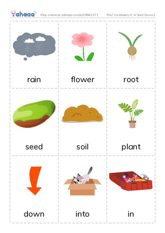RAZ Vocabulary G: A Seed Grows1 PDF flaschards with images