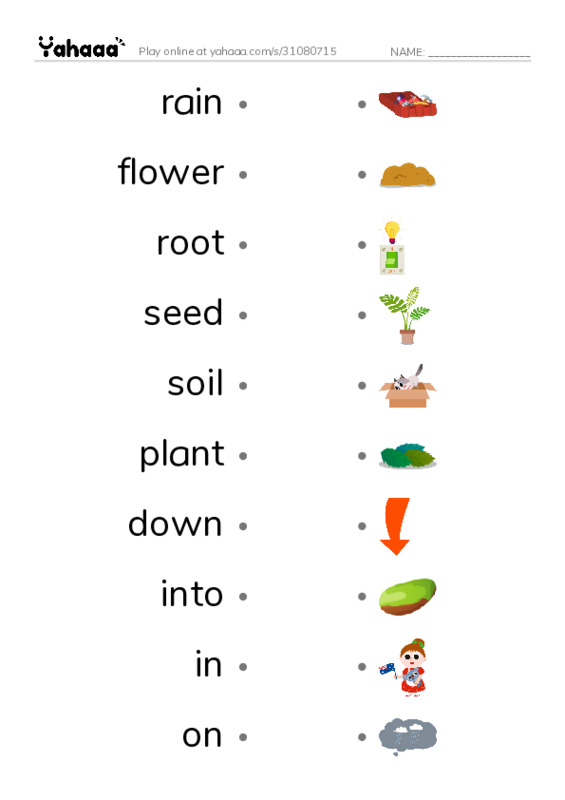 RAZ Vocabulary G: A Seed Grows1 PDF link match words worksheet