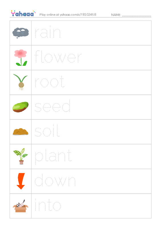 RAZ Vocabulary G: A Seed Grows1 PDF one column image words