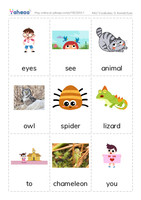 RAZ Vocabulary G: Animal Eyes PDF flaschards with images