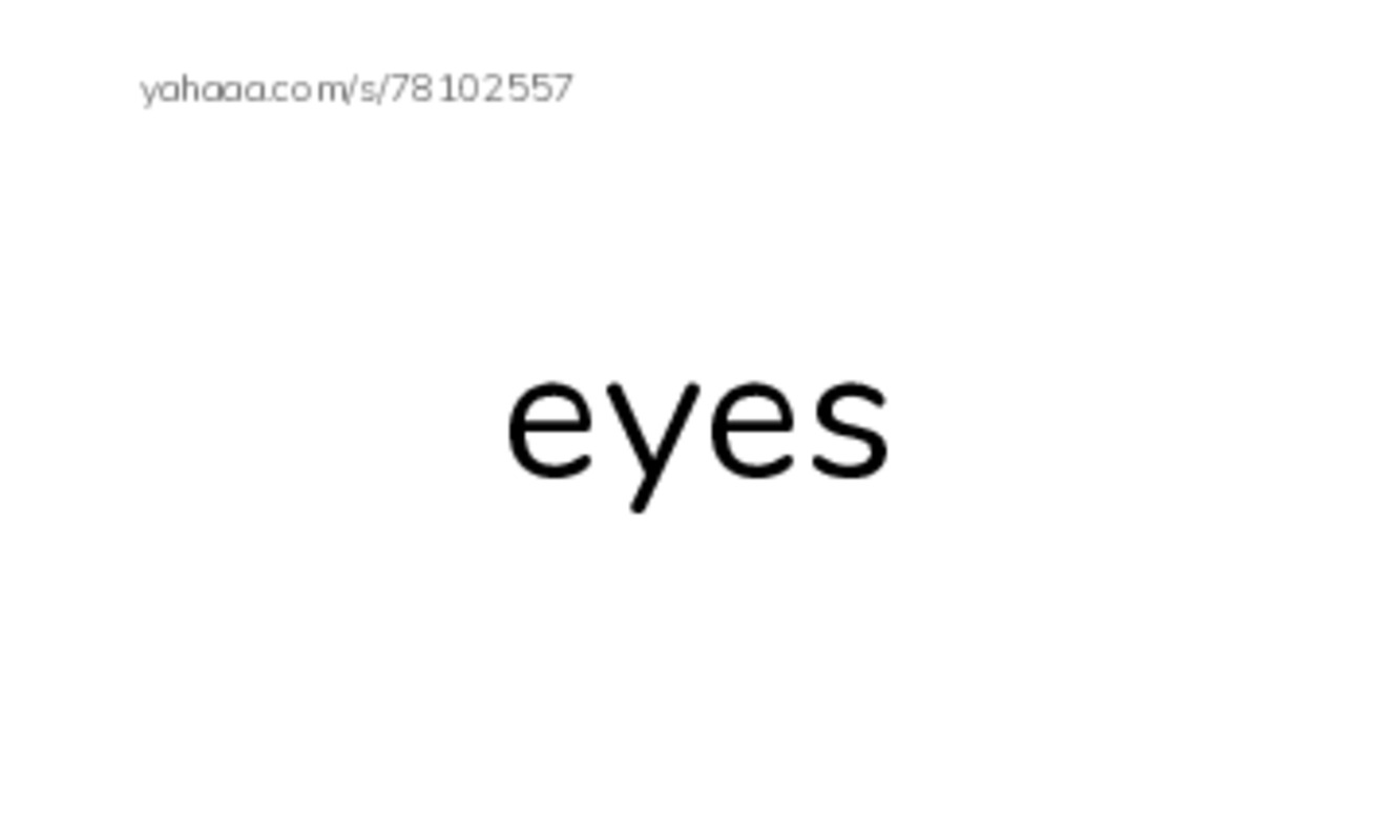 RAZ Vocabulary G: Animal Eyes PDF index cards word only