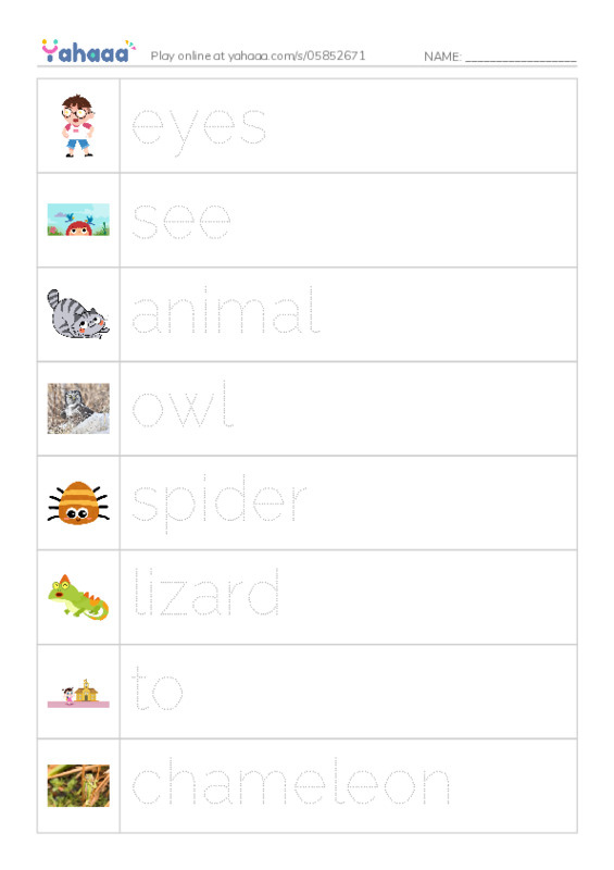 RAZ Vocabulary G: Animal Eyes PDF one column image words