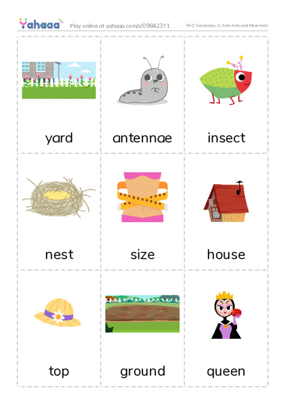 RAZ Vocabulary G: Ants Ants and More Ants PDF flaschards with images