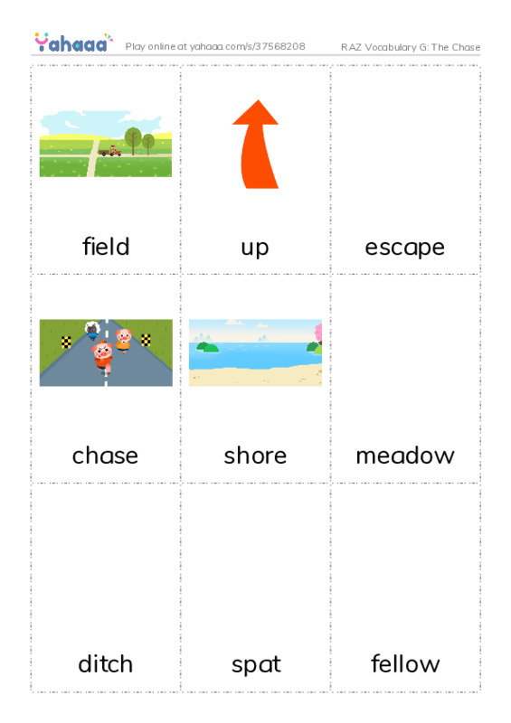RAZ Vocabulary G: The Chase PDF flaschards with images
