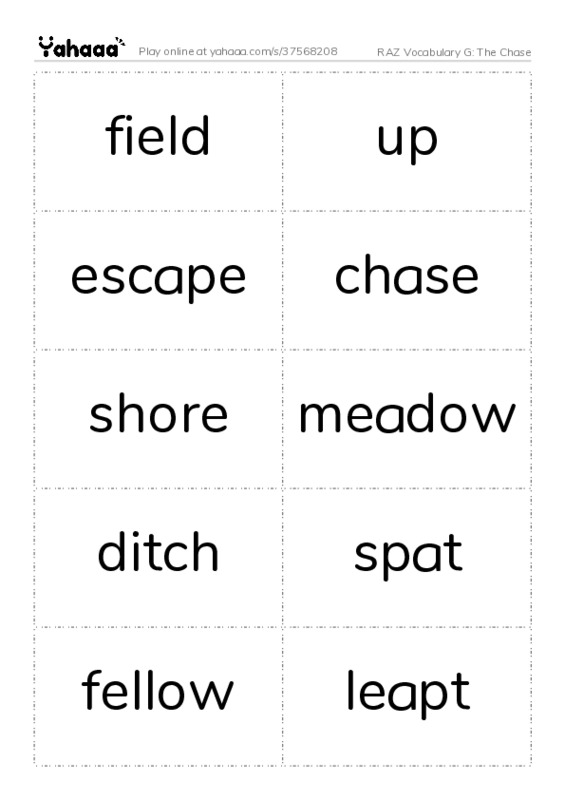RAZ Vocabulary G: The Chase PDF two columns flashcards
