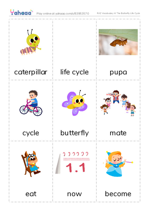 RAZ Vocabulary H: The Butterfly Life Cycle PDF flaschards with images