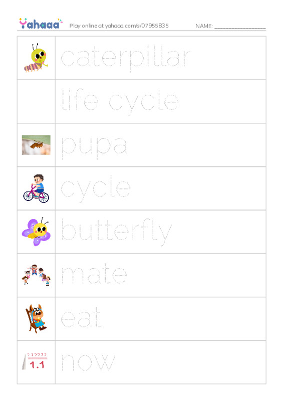 RAZ Vocabulary H: The Butterfly Life Cycle PDF one column image words