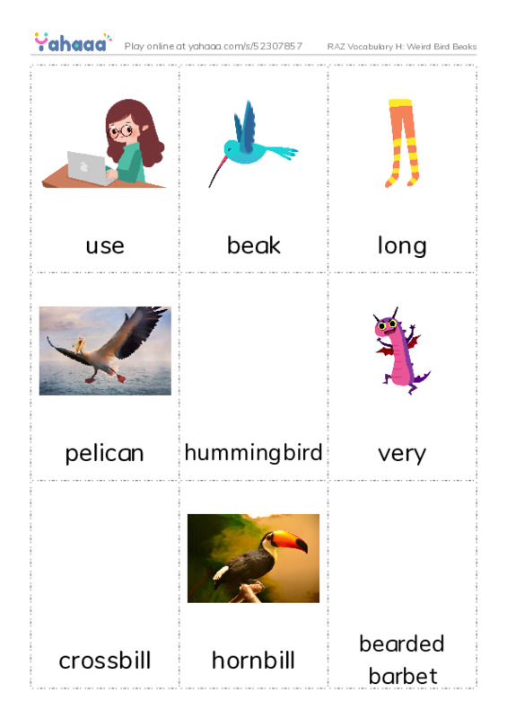 RAZ Vocabulary H: Weird Bird Beaks PDF flaschards with images