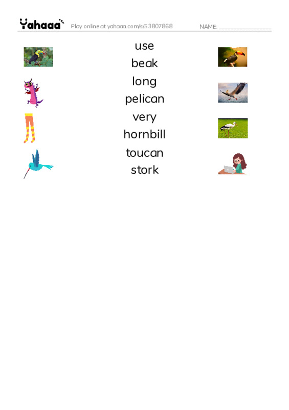 RAZ Vocabulary H: Weird Bird Beaks PDF three columns match words