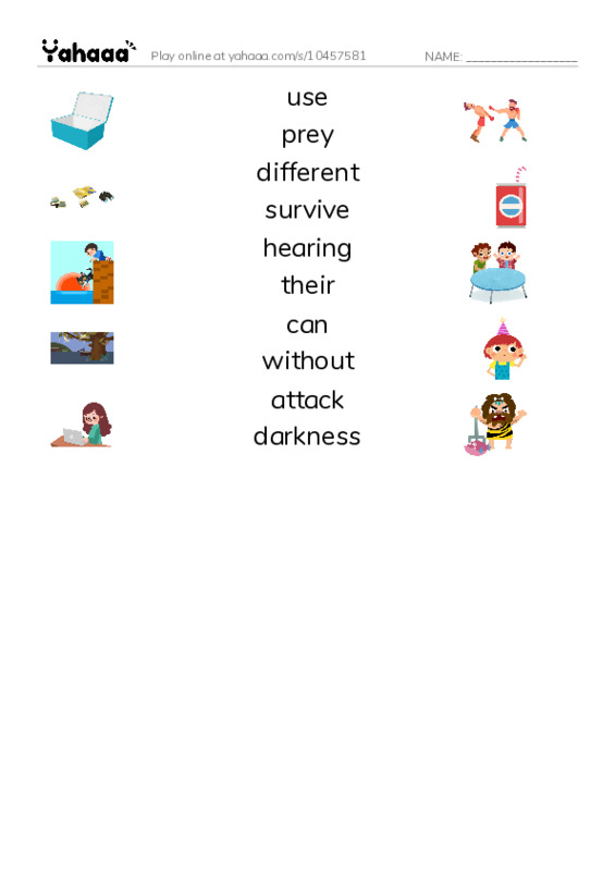 RAZ Vocabulary I: Owls Overhead PDF three columns match words