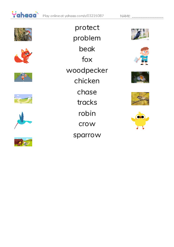 RAZ Vocabulary I: Why Robins Hop PDF three columns match words