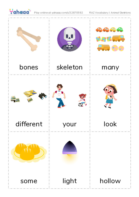 RAZ Vocabulary J: Animal Skeletons PDF flaschards with images