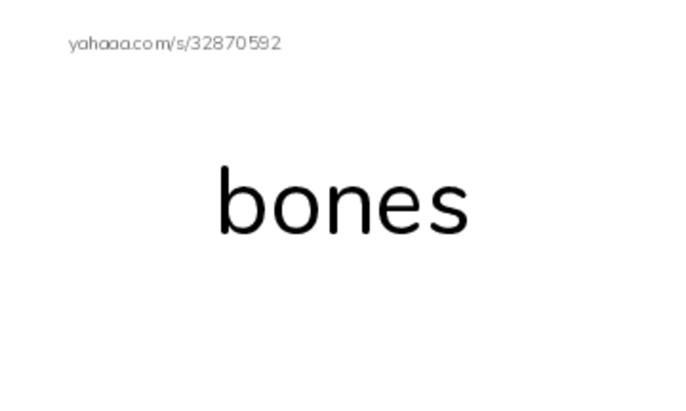 RAZ Vocabulary J: Animal Skeletons PDF index cards word only