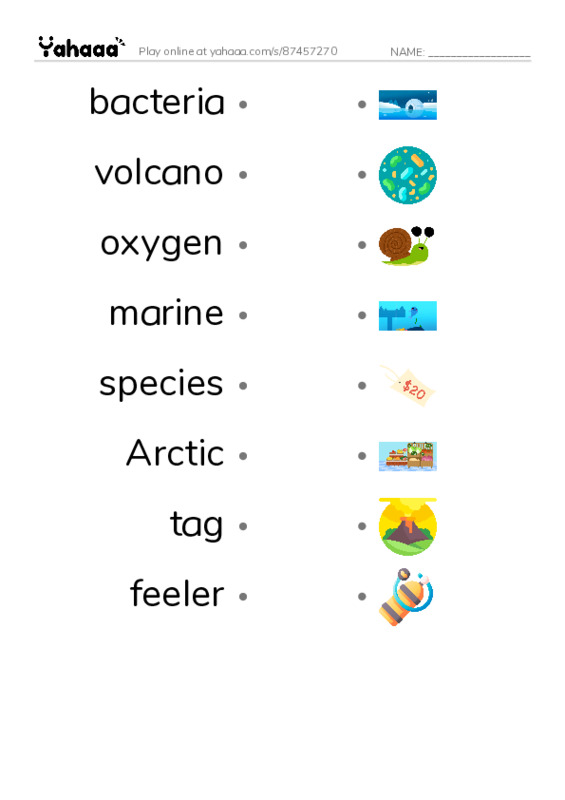 RAZ Vocabulary L: Deep in the Ocean PDF link match words worksheet