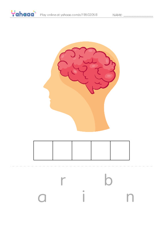 RAZ Vocabulary L: How Animals Sleep PDF word puzzles worksheet