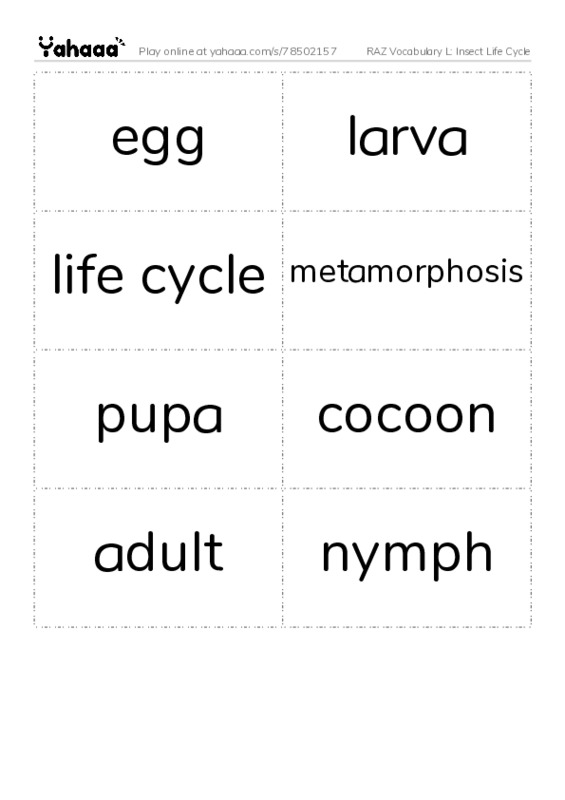 RAZ Vocabulary L: Insect Life Cycle PDF two columns flashcards