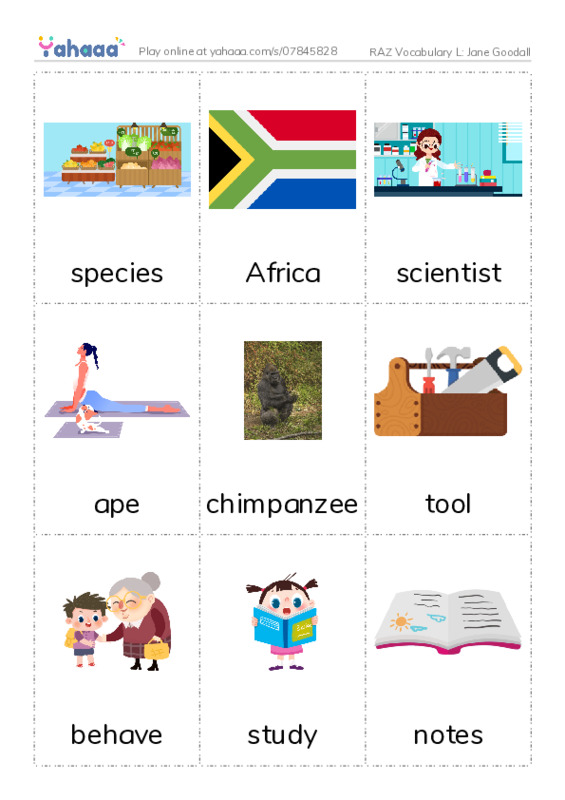 RAZ Vocabulary L: Jane Goodall PDF flaschards with images