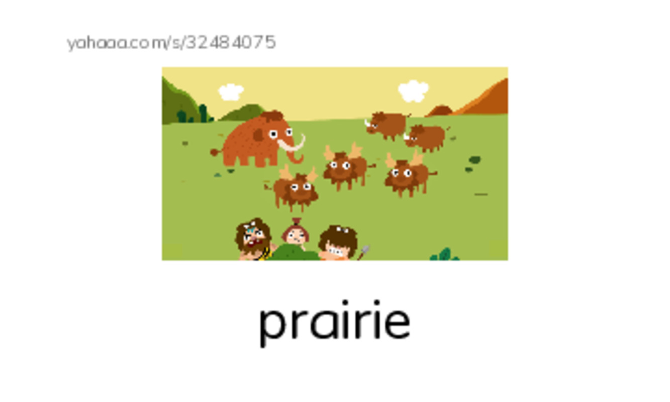 RAZ Vocabulary M: A Prairie Dogs Life PDF index cards with images