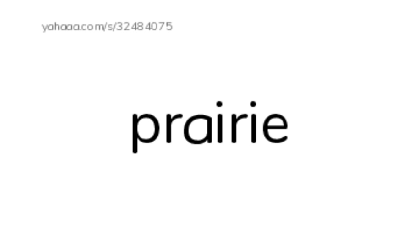 RAZ Vocabulary M: A Prairie Dogs Life PDF index cards word only