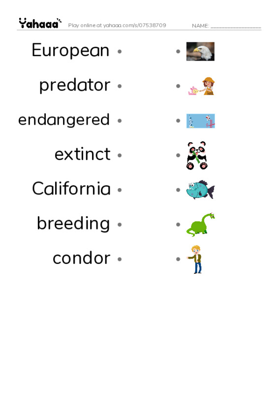 RAZ Vocabulary M: Endangered Birds PDF link match words worksheet