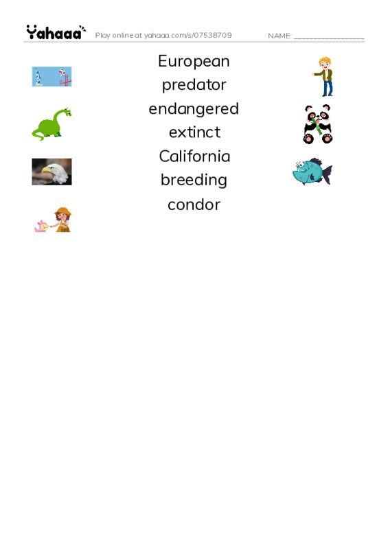 RAZ Vocabulary M: Endangered Birds PDF three columns match words