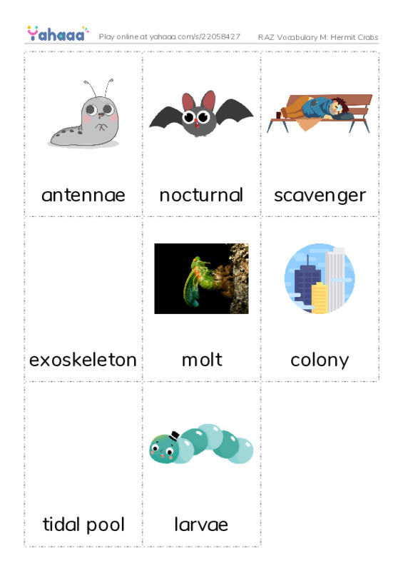 RAZ Vocabulary M: Hermit Crabs PDF flaschards with images