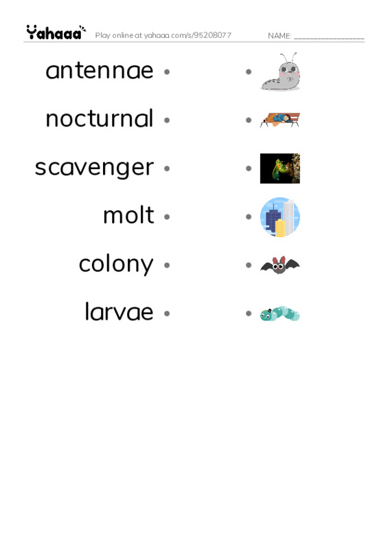 RAZ Vocabulary M: Hermit Crabs PDF link match words worksheet