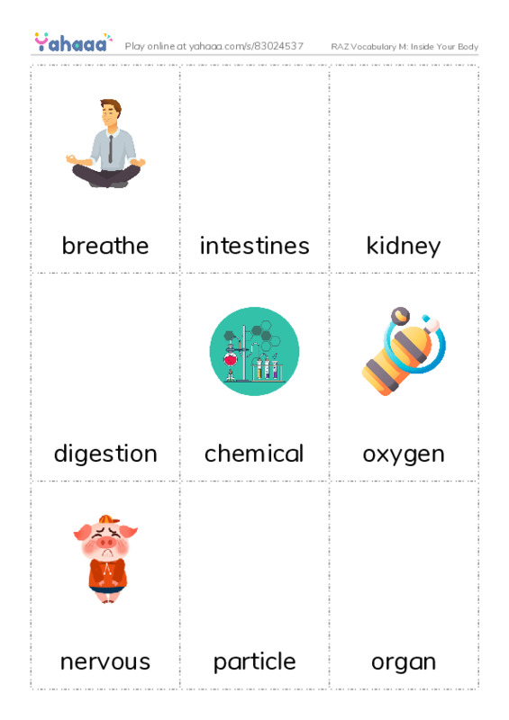 RAZ Vocabulary M: Inside Your Body PDF flaschards with images