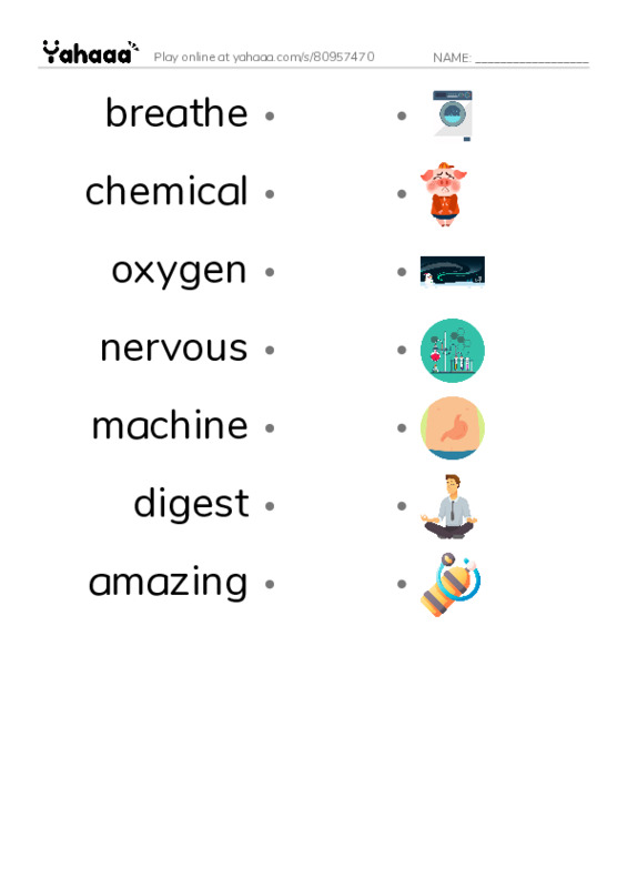 RAZ Vocabulary M: Inside Your Body PDF link match words worksheet